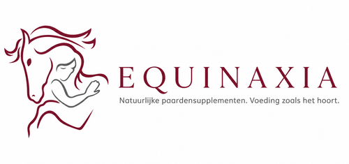 equinexia.be